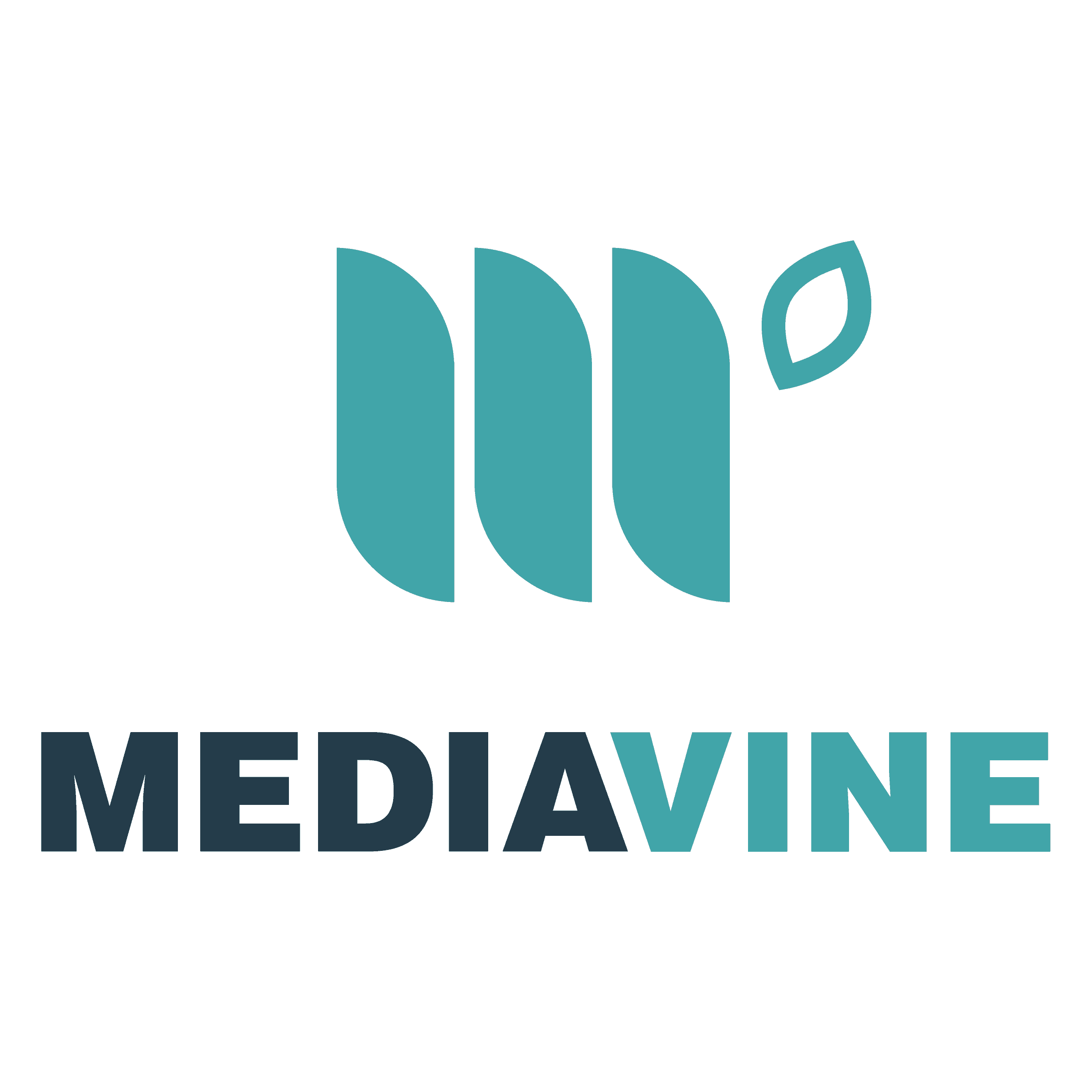 Mediavine – integrated ad platform on Jupiter